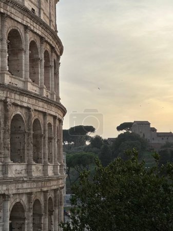 Photo for A vertical shot of the Colosseum against the trees in Rome, Italy - Royalty Free Image