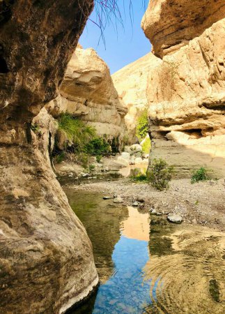 Téléchargez les photos : Une vue verticale du ruisseau entre les falaises de la réserve Ein Gedi par une journée ensoleillée - en image libre de droit