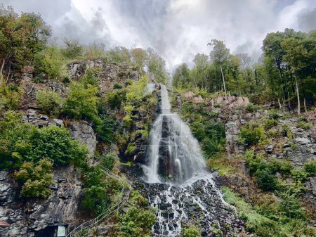 Téléchargez les photos : Vue en angle bas d'une cascade coulant sur les rochers couverts d'arbres verts par une journée nuageuse - en image libre de droit