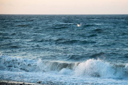 Foto de Hermosa vista del mar tormentoso al atardecer - Imagen libre de derechos