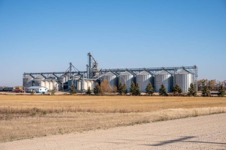 Photo for Tisdale, Saskatchewan - October 8, 2022: P&H grain terminal in rural Saskatchewan. - Royalty Free Image