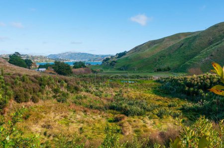 Foto de Una hermosa vista de un valle con un lago en la distancia en Nueva Zelanda, Porirua City cerca de Wellington - Imagen libre de derechos