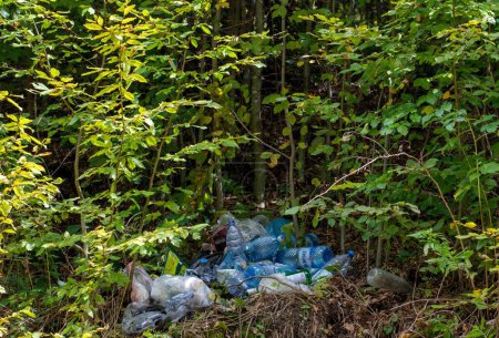 Téléchargez les photos : Un tas de déchets ménagers jetés dans la nature - en image libre de droit