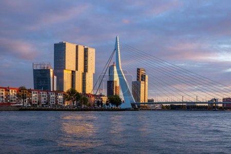 Foto de Encienda el horizonte de Rotterdam con parte del famoso puente Erasmus en primer plano y la arquitectura de rascacielos modernos típicos al atardecer - Imagen libre de derechos