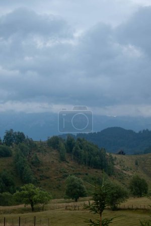 Foto de Una vista vertical del paisaje en un día sombrío, colina cubierta de árboles y hierba amarillenta - Imagen libre de derechos