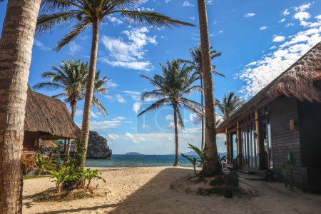 Photo for The beautiful coastline of El Nido with palm trees on a bright sunny day - Royalty Free Image