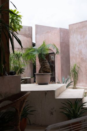 Foto de Un disparo vertical de plantas verdes frescas con decoración rústica en un patio trasero - Imagen libre de derechos