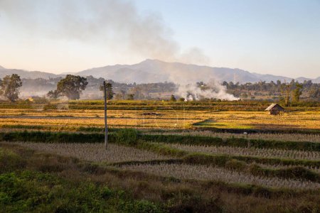 Photo for A small fire burns in the middle of rice paddies near Hsipaw in central Myanmar (Burma). - Royalty Free Image