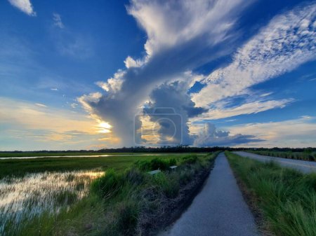 Un beau paysage d'une route à travers les champs verts sur l'île de Kiawah, Caroline du Sud par une journée nuageuse