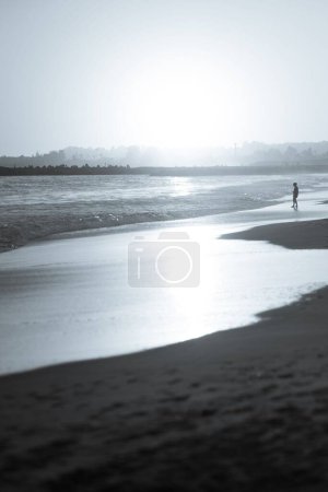 Photo for A beautiful landscape of a sandy beach on the sunset - Royalty Free Image