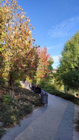 Téléchargez les photos : Un sentier de parc entre des arbres colorés d'automne sous un ciel bleu, plan vertical - en image libre de droit