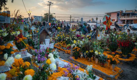 Foto de Las flores en un cementerio en la Ciudad de México para el desfile del Día de los Muertos - Imagen libre de derechos