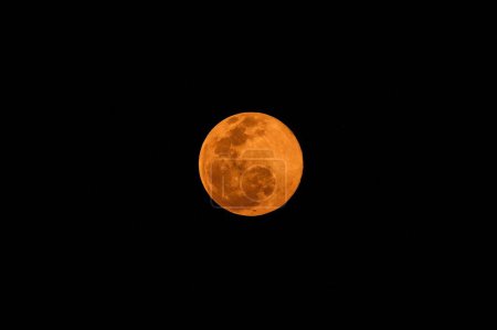 Foto de Una luna llena aislada sobre un fondo negro - Imagen libre de derechos