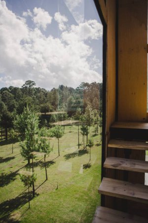 Téléchargez les photos : Plan vertical d'un escalier en bois le long d'une fenêtre panoramique donnant sur un jardin verdoyant - en image libre de droit