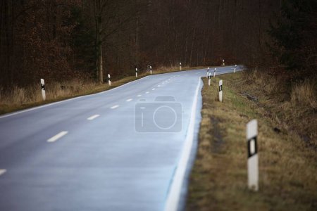 Téléchargez les photos : Une route asphaltée avec des lignes à travers la forêt dense en automne - en image libre de droit