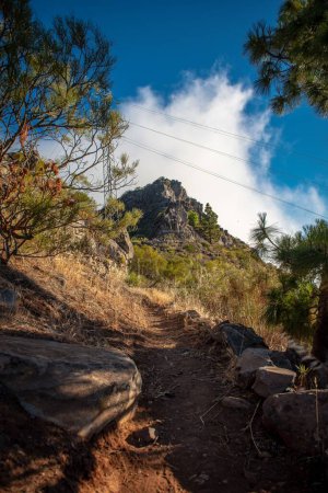 Téléchargez les photos : Un sentier de randonnée à travers les arbres et les collines - en image libre de droit