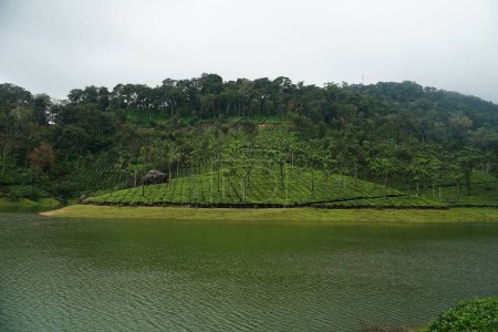 Foto de Un lago cerca de una exuberante ladera verde con árboles - Imagen libre de derechos