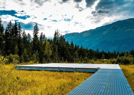 Foto de Los paneles solares en un campo rodeado de densos árboles verdes con montañas en el fondo - Imagen libre de derechos