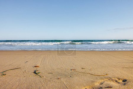 Téléchargez les photos : Une belle vue sur la plage de sable fin en journée - en image libre de droit