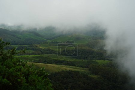 Photo for A lush tea plantation with a mountain in the background and mist rising from clouds - Royalty Free Image