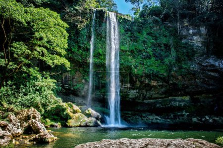 Téléchargez les photos : Un beau cliché d'une cascade dans une forêt au Mexique - en image libre de droit