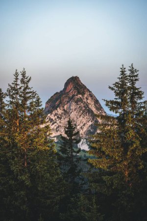 Téléchargez les photos : Un plan vertical d'un magnifique sommet de montagne avec des silhouettes de pins au premier plan au coucher du soleil - en image libre de droit