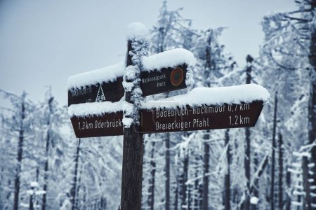Téléchargez les photos : Un gros plan de panneaux de signalisation enneigés et givrés indiquant les directions, des arbres gelés fond flou - en image libre de droit