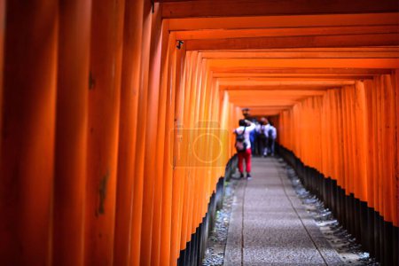 Téléchargez les photos : Un foyer sélectif de touristes dans une ruelle de Torii à Fushimi Sanctuaire Inari Taisha à Kyoto, Japon - en image libre de droit