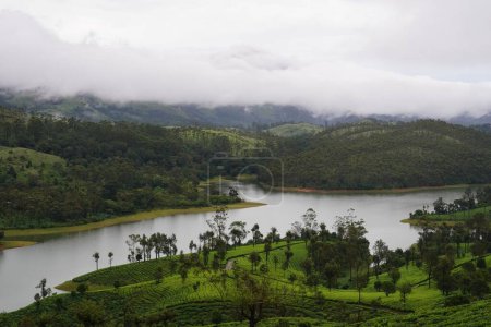 Téléchargez les photos : Une rivière près d'une colline verdoyante avec des arbres - en image libre de droit