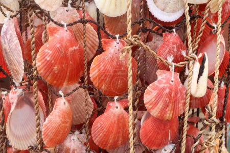 Foto de Un primer plano de conchas marinas decorativas rojas y blancas en una malla para la venta en Croacia - Imagen libre de derechos