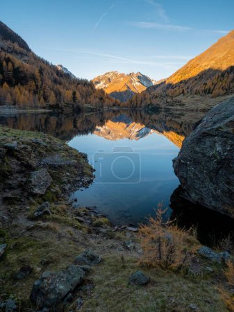 Téléchargez les photos : Vue verticale du lac Landschitzsee reflétant les arbres et les montagnes de Salzbourg, Autriche - en image libre de droit