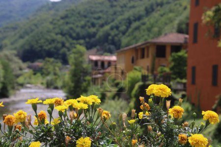 Foto de Paisaje italiano en Toscana con flores en verano - Imagen libre de derechos