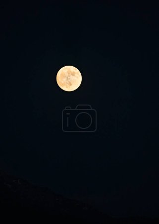 Photo for A mesmerizing view of a moon in the dark black sky at night - Royalty Free Image