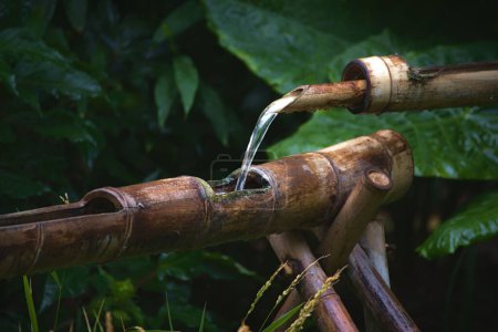 Photo for An Asian water fountain made of bamboo sticks in the rainforest - Royalty Free Image