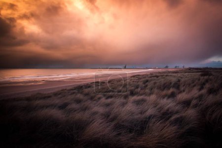 Photo for A long exposure of wild grass field on sandy beach by the sea with red sunset sky - Royalty Free Image