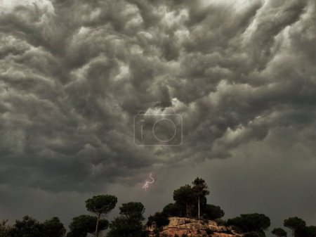 Téléchargez les photos : Un énorme nuage gris avec de la foudre dans le ciel sur de nombreux arbres - en image libre de droit