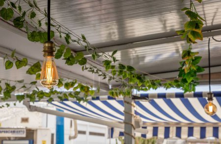 Foto de Las bombillas que cuelgan del techo de la cafetería decoradas con plantas verdes - Imagen libre de derechos