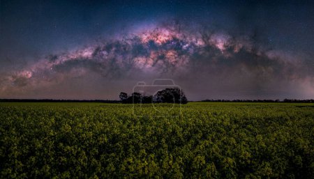 Photo for An aerial view of greenery field under blissful Milky way in sky - Royalty Free Image
