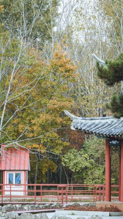 Photo for A vertical view of a park with Chinese traditional components on an autumn day - Royalty Free Image