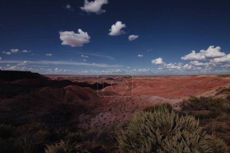 Téléchargez les photos : Une vue panoramique sur le magnifique parc national de la forêt pétrifiée en Arizona contre un ciel bleu - en image libre de droit