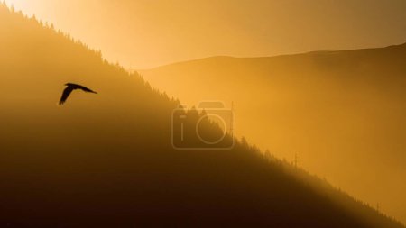 Foto de Una vista impresionante de un pájaro volando sobre las montañas durante el dramático atardecer - Imagen libre de derechos