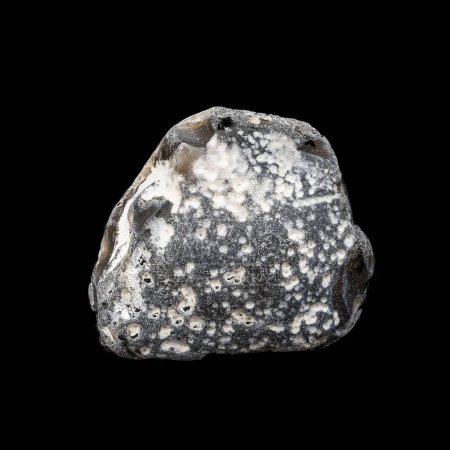 Photo for A closeup shot of a pebble from the beach isolated on the black background - Royalty Free Image