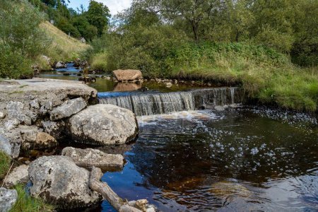 Téléchargez les photos : Une vue panoramique d'une petite rivière cascade dans le Yorkshire du Nord, en Angleterre, entourée par une nature verte - en image libre de droit