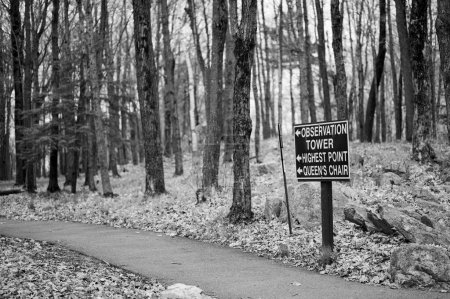 Foto de Una escala de grises de un camino con árboles en el bosque en Wisconsin en el invierno - Imagen libre de derechos