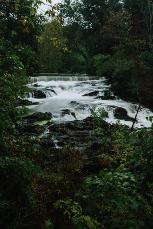 Photo for A long exposure shot of a river and a waterfall surrounded by the dense forest during the daytime - Royalty Free Image