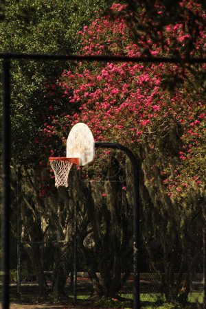 Photo for A basketball hoop at Forsyth Park in Savannah, Georgia, USA - Royalty Free Image