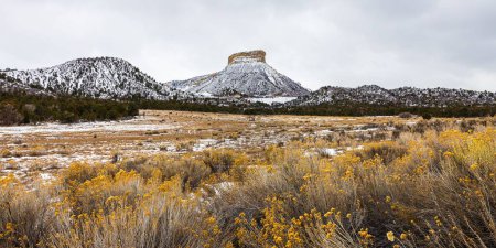 Téléchargez les photos : Une vue panoramique sur le parc national de Mesa Verde - en image libre de droit