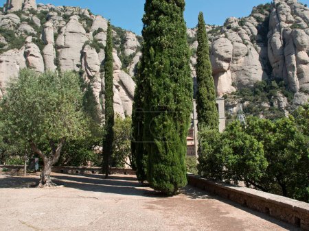 Foto de Una vista de verano de los cipreses bajo la montaña rocosa de Montserrat en Cataluña, España - Imagen libre de derechos