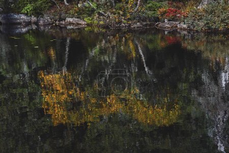 Téléchargez les photos : Le lac Svartdal Stjerna et le feuillage d'automne avec réflexion dans l'eau - en image libre de droit