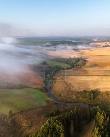 Téléchargez les photos : Une vue aérienne verticale des grands paysages avec des champs de blé par une journée brumeuse - en image libre de droit